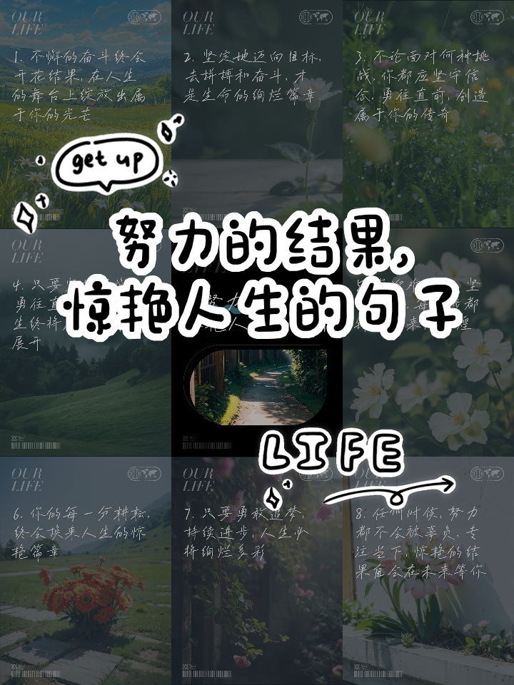 用坚持和努力绽放出属于自己的光芒