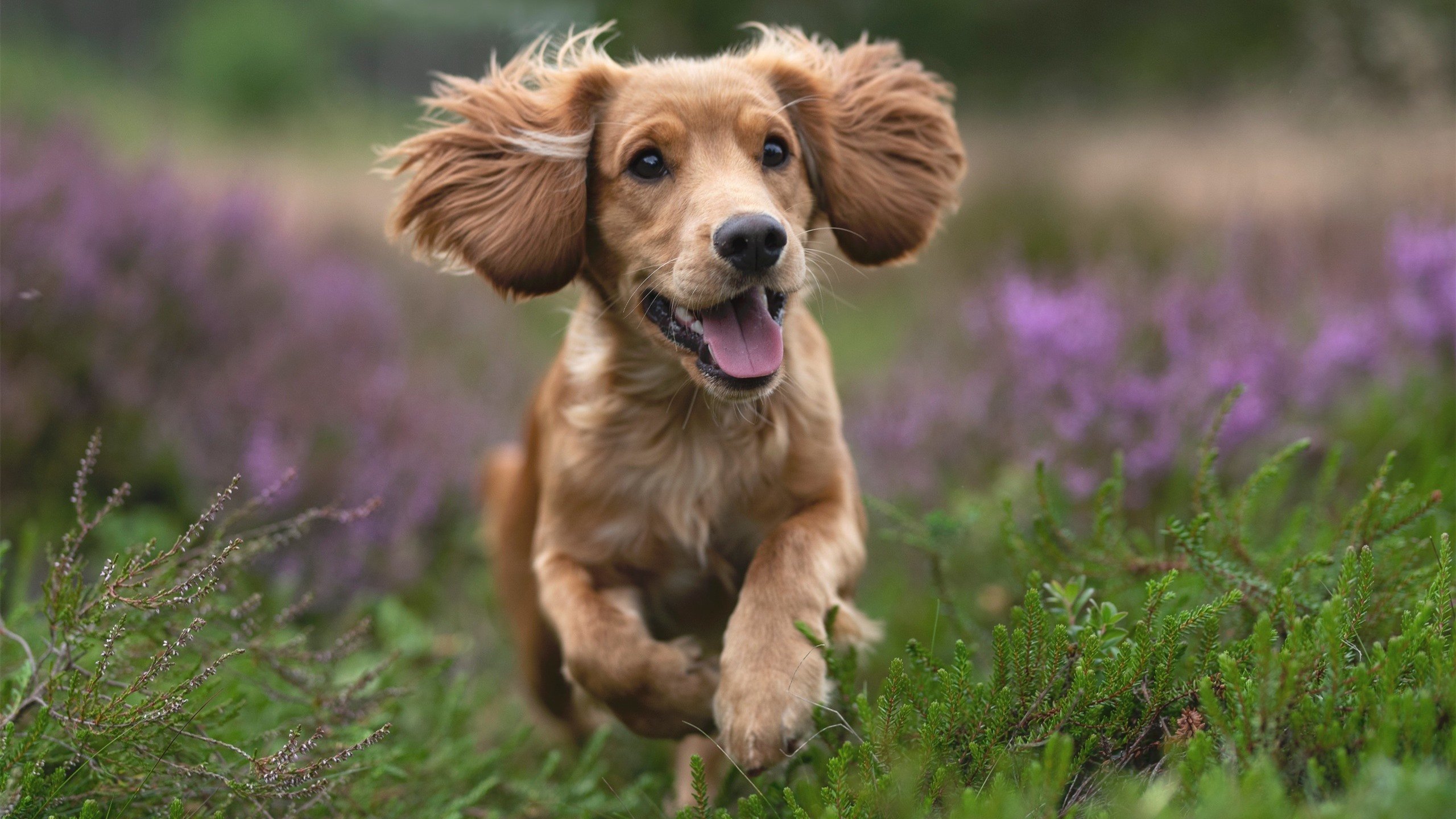 开云体育登录-焦点之战，无名防线构筑铁壁，加纳如何以血肉之躯锁死巴黎巨舰