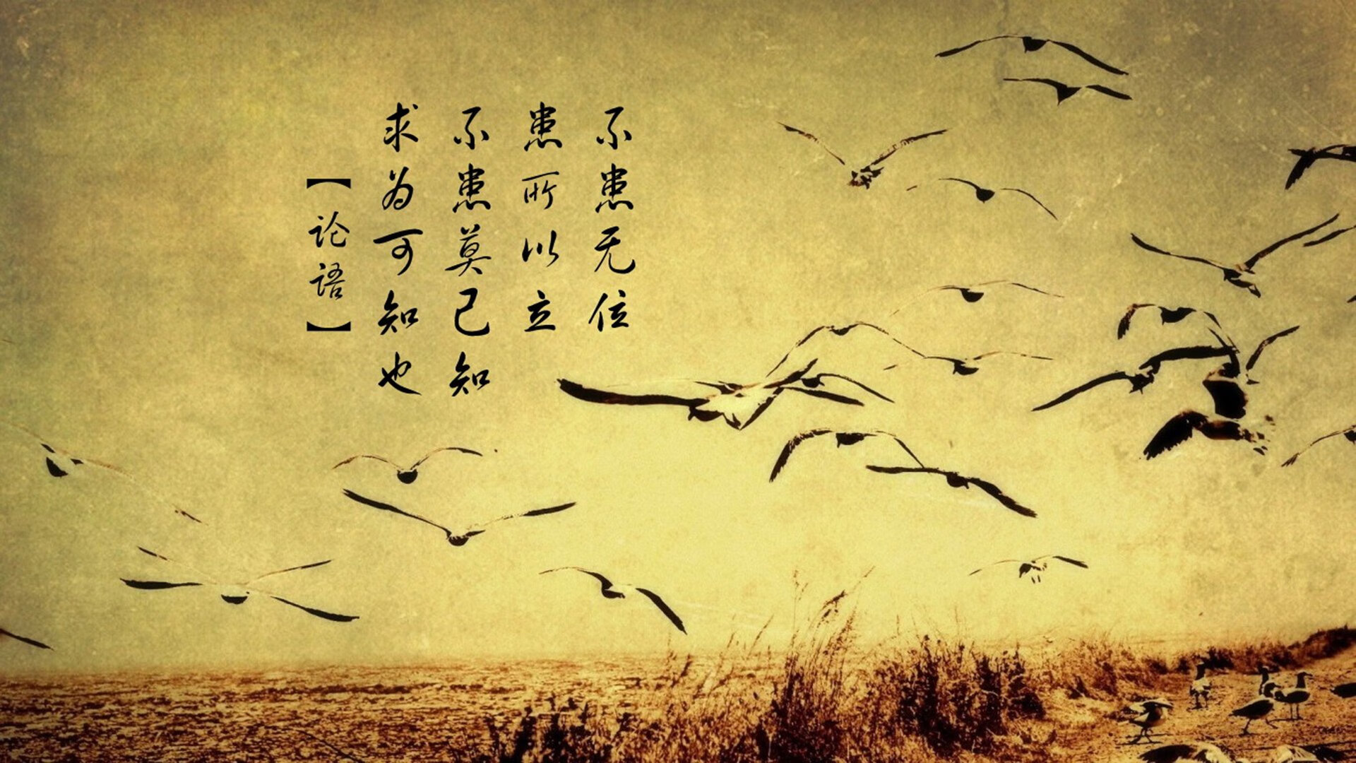 奥亚尔萨瓦尔,照亮法兰西暗夜的北极星—记南非对阵法国一役的完美发挥