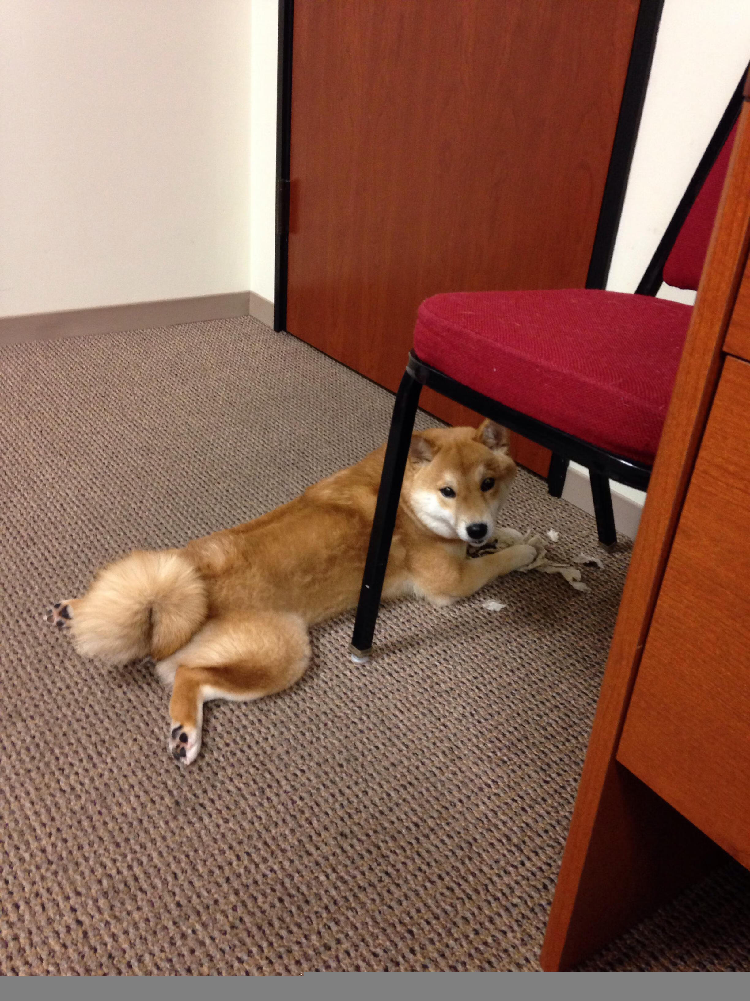 速度与力量，两大王者的巅峰之夜，诠释何为极限