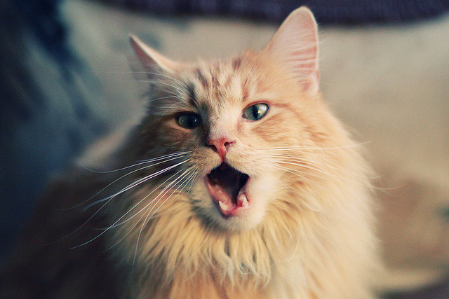 一人改写剧本，贝恩末节独揽19分，活塞惊天逆转深圳！