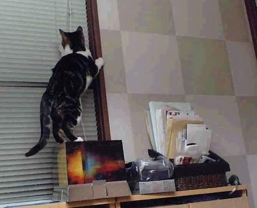 开云体育平台APP-传奇的双重奏，草根逆袭与英雄登场