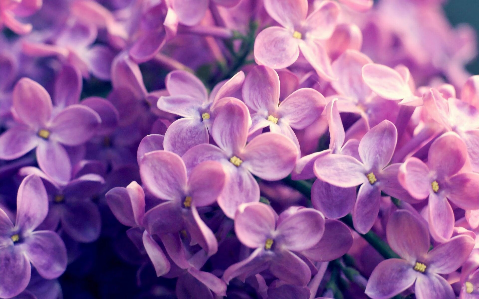 北欧童话破灭！南十字星闪耀，奥亚尔萨瓦尔一锤定音