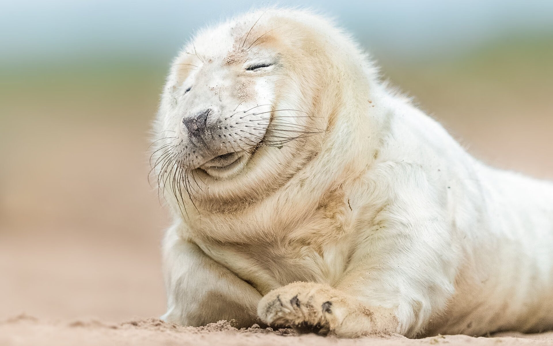 意式韧性与法式锐利，当拉齐奥的团队火焰照亮姆巴佩的个人星光