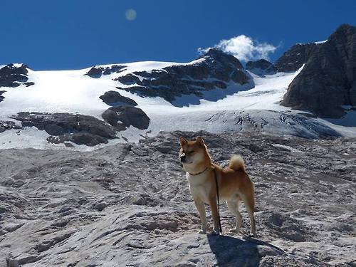 开云体育app-卡拉斯科天神下凡！澳大利亚4-0狂胜乌克兰，全场最佳无争议