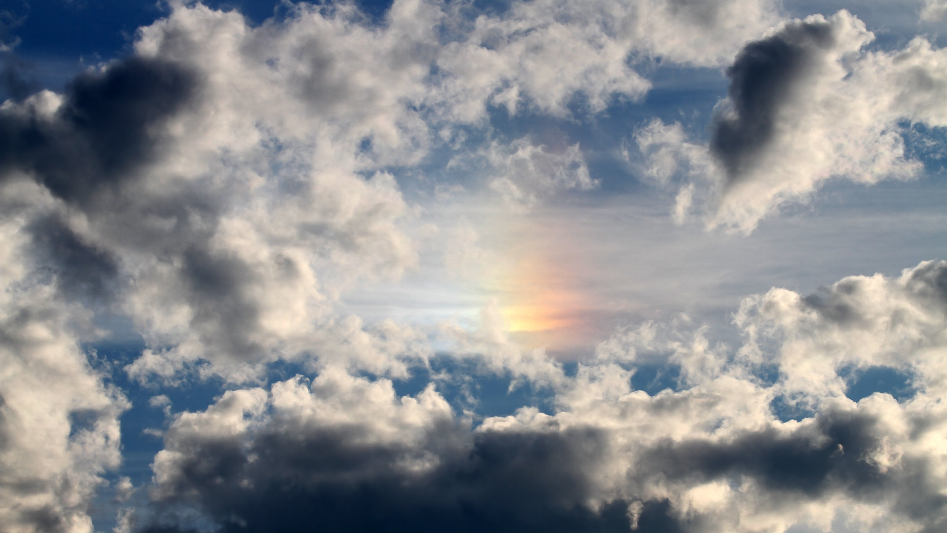 开云体育APP下载-小贾伦·杰克逊如神降临！国王防线在他面前形同虚设