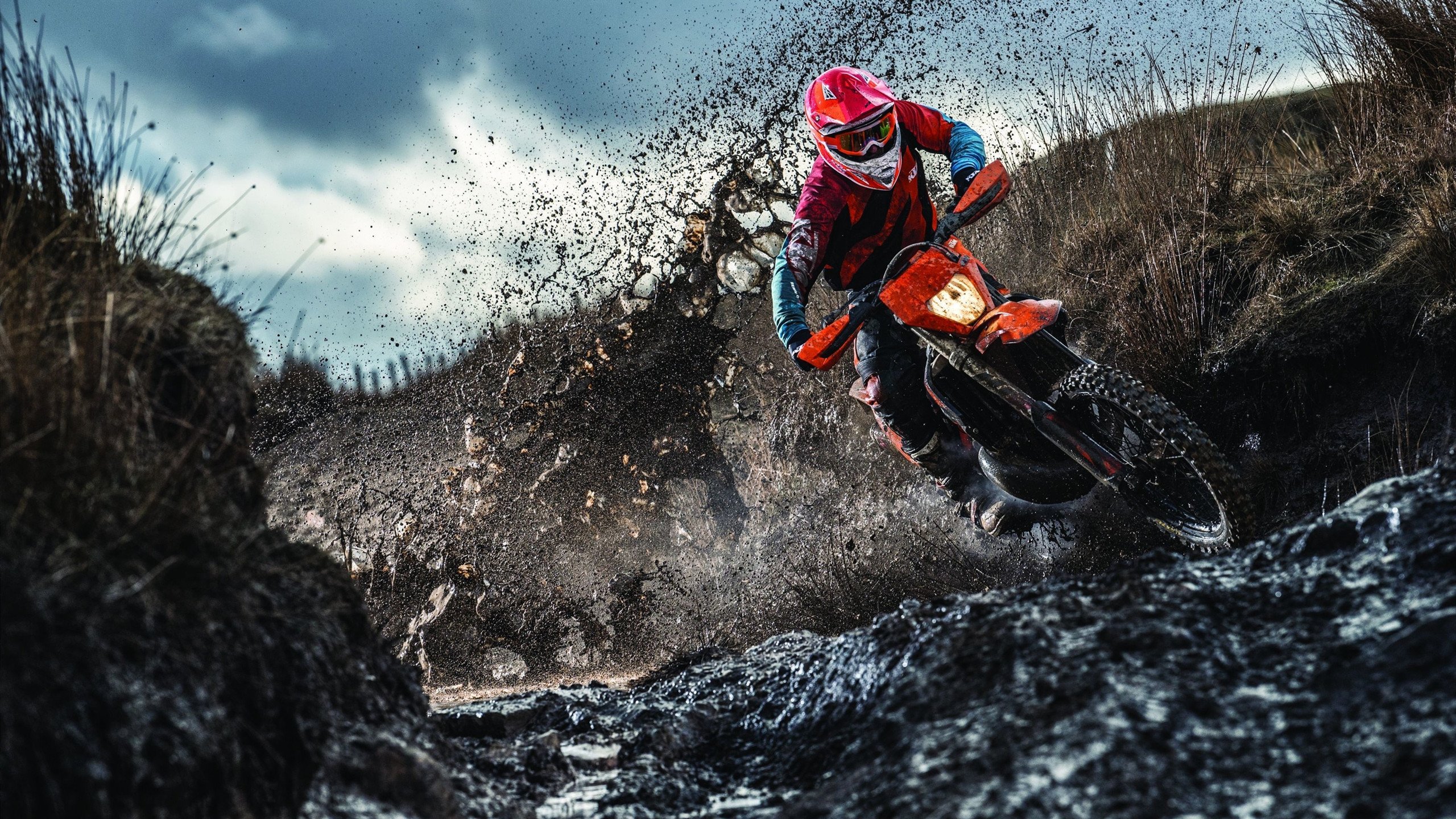 布伦森独揽攻防破局,快船鏖战猛龙背后的隐形主宰