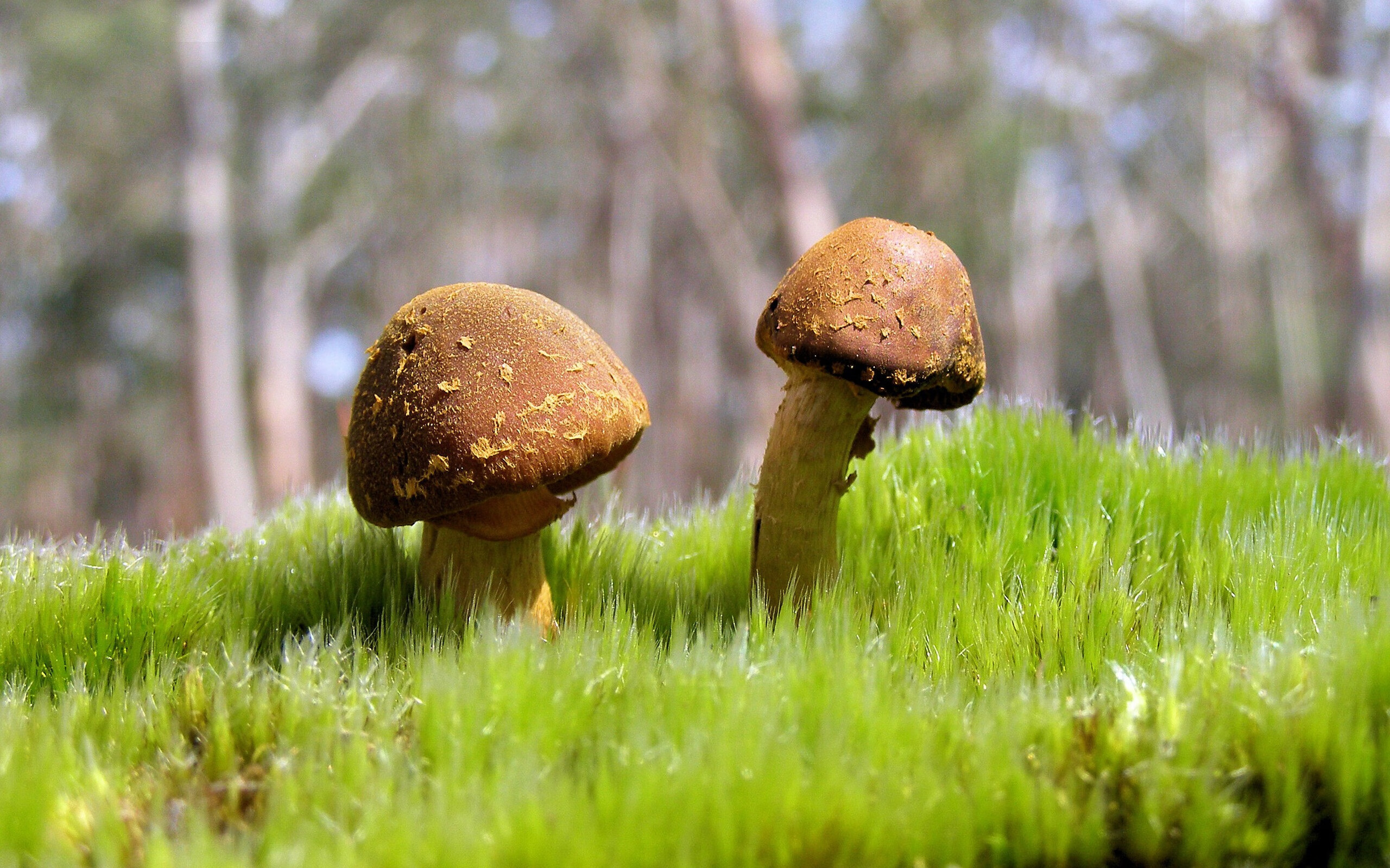 北国寒流席卷浦江,吉林生死战用冰与火写就逆袭史诗