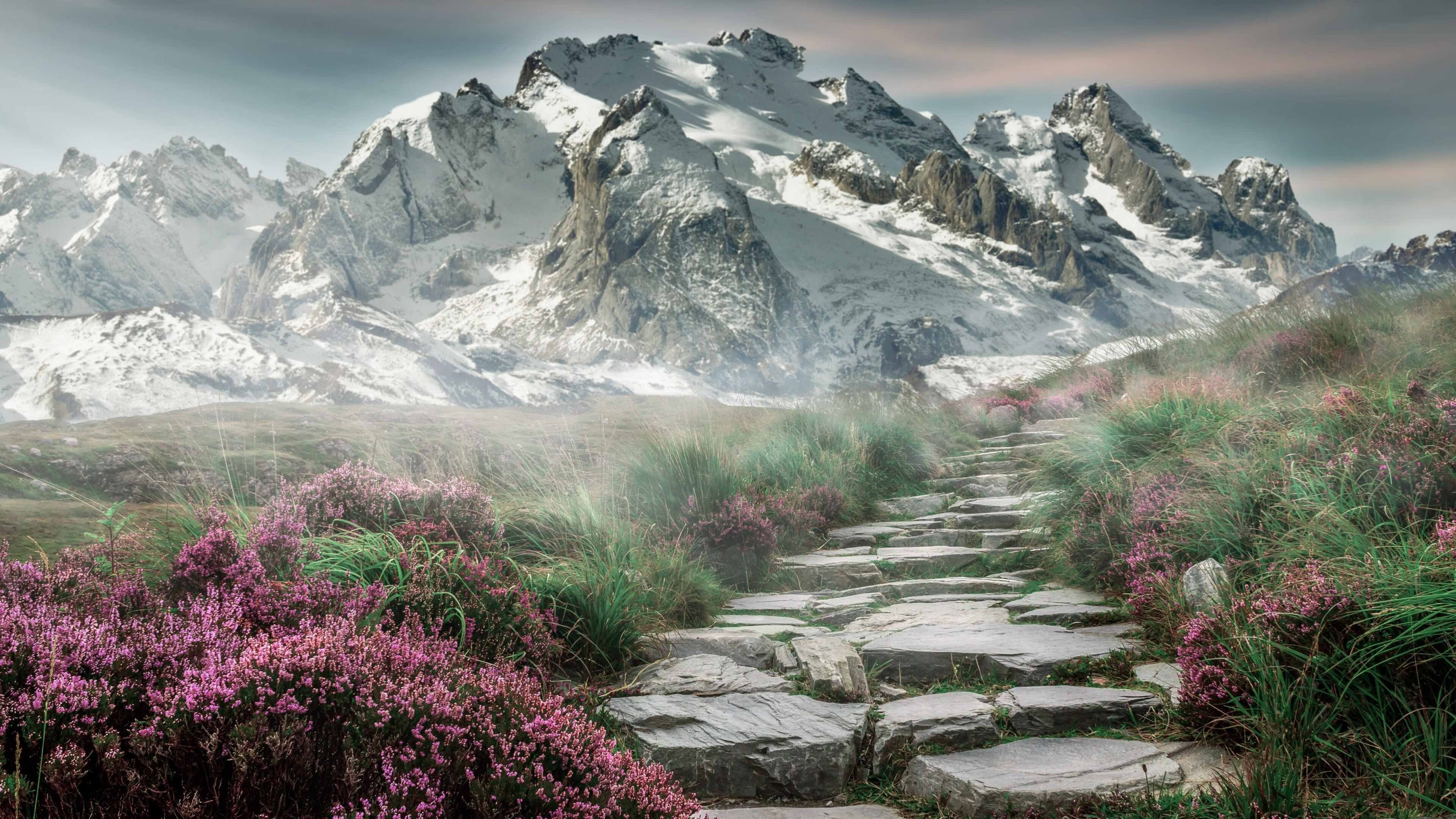 不向希腊神兽俯首，草根国王队如何凭智能篮球击溃联盟巨无霸？